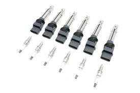 Ignition Coil and Plug Set (Eldor/NGK) for VR6