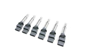 Ignition Coil Set of 6 for VR6 Engine (Eldor)