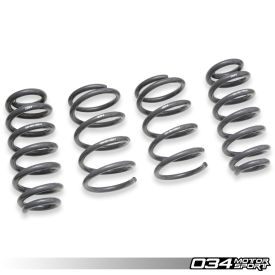 Springs, Set, 8V.5 RS3