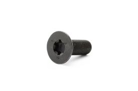 Bolt for Cam Chain Adjuster Unit - 06D109281D