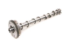 Intake Camshaft - 06L109021S