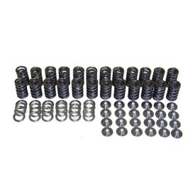 Valve Spring Set, 24V VR6 w/ R