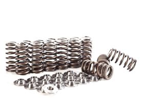 IE 2.0t FSI Performance Valve Spring and Retainer Kit