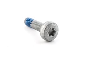 Screw (M6 x 1.0 x 22) - N10700202